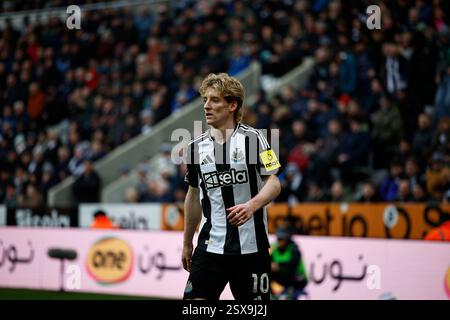Newcastle, Großbritannien. Newcastle, Großbritannien. Februar 2025. 23. Februar 2025; St. James' Park, Newcastle, England; Premier League Football, Newcastle United gegen Nottingham Forest; Anthony Gordon von Newcastle United Stockfoto