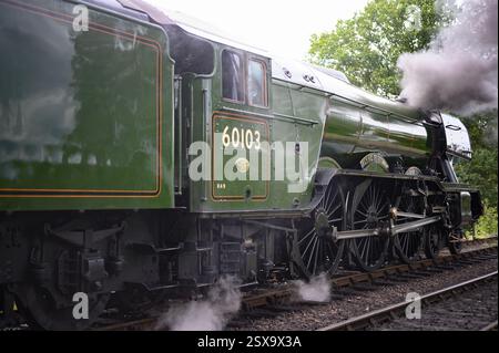 Der Flying Scotsman auf seiner hundertjährigen Tour auf der Bluebell Line Stockfoto