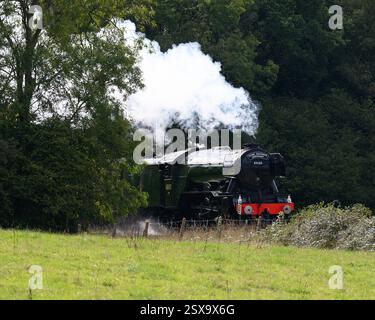Der Flying Scotsman auf seiner hundertjährigen Tour auf der Bluebell Line Stockfoto
