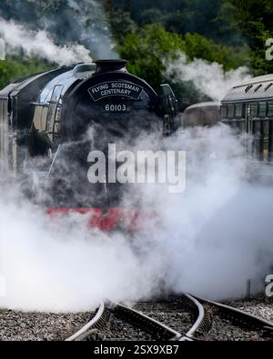 Der Flying Scotsman auf seiner hundertjährigen Tour auf der Bluebell Line Stockfoto