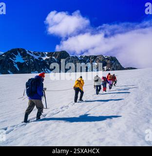 Wanderer auf Gletscher, Svalbard Stockfoto
