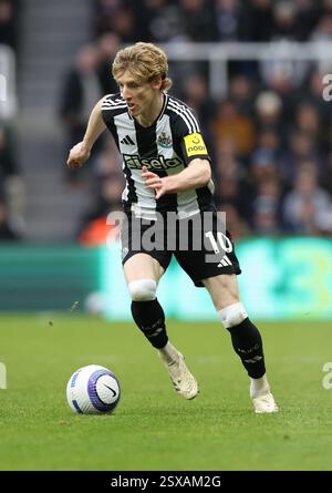 Newcastle upon Tyne, Großbritannien. Februar 2025. Anthony Gordon von Newcastle United während des Premier League-Spiels zwischen Newcastle United und Nottingham Forest im St. James' Park in Newcastle upon Tyne. Der Bildnachweis sollte lauten: Nigel Roddis/Sportimage Credit: Sportimage Ltd/Alamy Live News Stockfoto