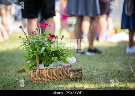 Einkäufe auf dem Flohmarkt auf dem Rasen im Freien. Lila Konflower Pflanze und Kupferschale auf dem Rasen. Konsum, Shopping, Lifestyle-Konzept. Stockfoto