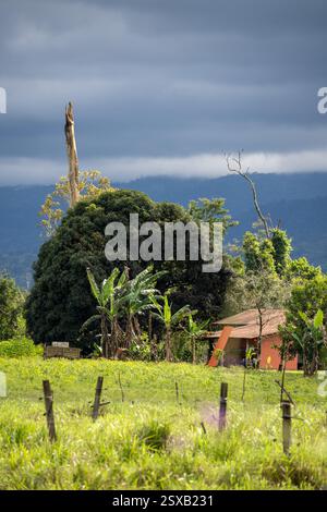 Ein kleines orangenes Haus liegt eingebettet zwischen üppig grünen Bäumen und Bananenpflanzen, mit Bergen und einem bewölkten Himmel im Hintergrund. Stockfoto