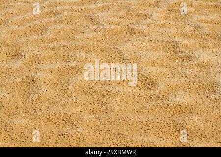Nahaufnahme. Textur. Sahara, kleine Kieselsteine und Sand. Hamada-Hintergrund. Natürliches Muster. Stockfoto