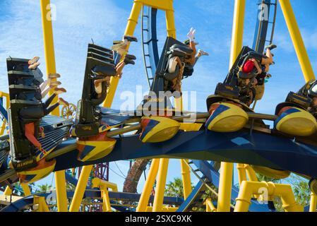 Busch Gardens 25. Februar 2025 - B&M Montu, Inversion Stockfoto