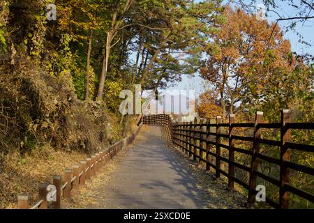 Sejong City, Südkorea - 12. November 2020: Ein malerischer, von Holz umzäunter Pfad schlängelt sich durch ein bewaldetes Gebiet mit Herbstlaub. Der von Bäumen gesäumte Weg o Stockfoto