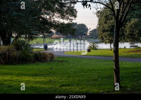 Menschen, die um den Kanusee in Portsmouth spazieren, vorbei an einer großen Gruppe von Schwänen. Januar 2025. Stockfoto