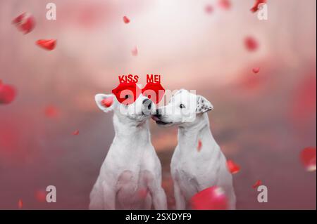 Valentinspilz zweier küssender Hunde. Stockfoto
