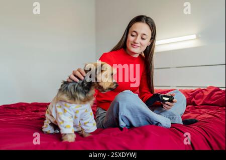 Junge Frau, die Videospiele spielt und ihren Yorkshire Terrier-Hund streichelt Stockfoto