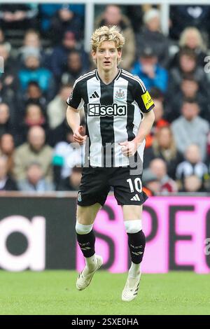 Newcastle, Großbritannien. Februar 2025. Anthony Gordon von Newcastle United während des Spiels Newcastle United FC gegen Nottingham Forest FC English Premier League in St. James' Park, Newcastle, England, Großbritannien am 23. Februar 2025 Credit: Lee Keuneke/Every Second Media Credit: Every Second Media/Alamy Live News Stockfoto