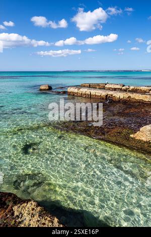 Flöße für den Einlass von Salzwasser in den Salobrar de Campos, Strand SES Covetes, es Tenc, Campos, Mallorca, Balearen, Spanien. Stockfoto