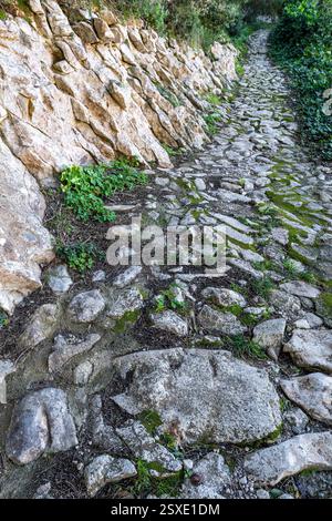 Mauer und Pfad aus lebendigem Stein ohne Mörtel, Randa, Algaida, Mallorca, Balearen, Spanien. Stockfoto