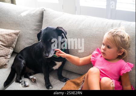 Kleinkind Mädchen Streicheln Schwarzer gemischter Rasse Hund auf Couch im Wohnzimmer Stockfoto