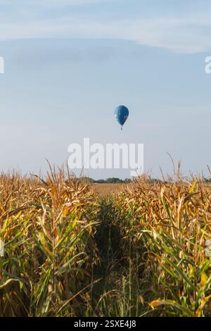 Bunte Heißluftballons fliegen an einem sonnigen Tag über Weizenfeld Stockfoto