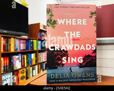 Lviv, Ukraine - 20. Februar 2025: Bild von „Where the Crawdads singen“ von Delia Owens im Bücherregal. Stockfoto