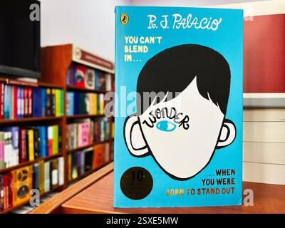 Lviv, Ukraine - 20. Februar 2025: Titelbild von Wonder von R.J. Palacio in einer Buchhandlung. Stockfoto