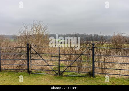 Tor und Zaun in Knowlton, Dorset, Großbritannien Stockfoto