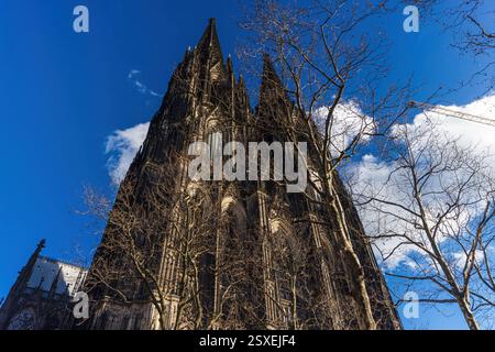 Kölner Dom in Deutschland Niedrigwinkelansicht des Reiseziels Kölner Dom in Deutschland *** Kölner Dom in Deutschland Tiefblick auf das Rei Stockfoto