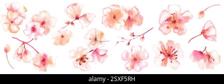 Frühlingsblumenhintergrund, ein horizontales Banner mit abstrakten Aquarellblumen, nahtloser Rand Stockfoto