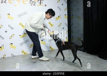 TAIPEH, CHINA - 24. FEBRUAR 2025 - der taiwanesische Schauspieler Kent Tsai und sein Hund Amo nehmen am 24. Februar 2025 an einer Veranstaltung der öffentlichen Wohlfahrt in Taipeh, China Teil. Stockfoto