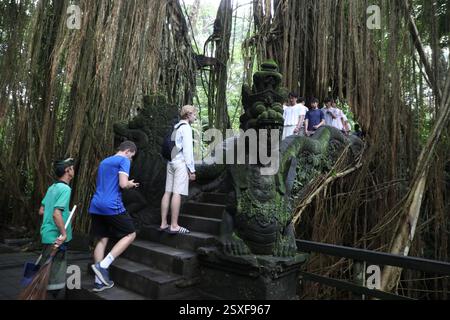 Heiliges Affenwaldschutzgebiet in Ubud, Indonesien Stockfoto