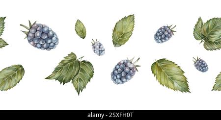 Nahtloser Rand mit duftenden Brombeeren und grünen Blättern. Reife Beeren, Blätter. Wald- und Gartenbeeren. Aquarellillustration, isoliert auf weißem Hintergrund, handgezeichnet Stockfoto