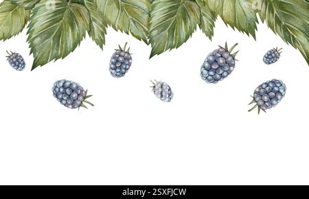 Aquarellrahmen mit duftenden Brombeeren und grünen Blättern. Reife Beeren, Blätter. Wald- und Gartenbeeren. Aquarellillustration, isoliert auf weißem Hintergrund, handgezeichnet Stockfoto