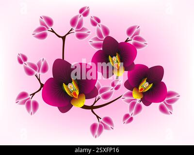 Hintergrund mit Blumenmuster, Orchideen. Stock Vektor