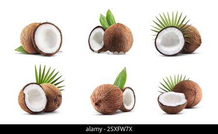 Kokosnüsse und grüne Blätter isoliert auf weiß, Set Stockfoto