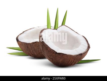 Kokosnüsse und grüne Blätter isoliert auf weiß Stockfoto