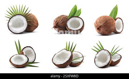 Kokosnüsse und grüne Blätter isoliert auf weiß, Set Stockfoto