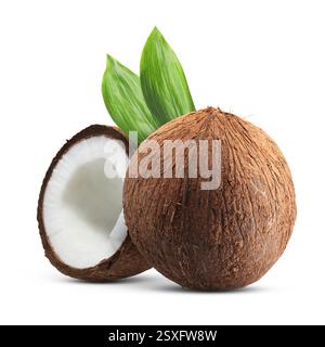Kokosnüsse und grüne Blätter isoliert auf weiß Stockfoto