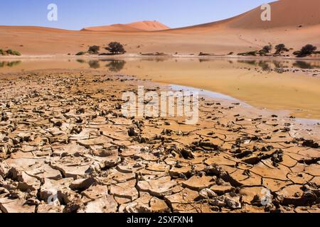Schlammrisse aus der schnell trocknenden Wüstenoase Sossusvlei in der Namib-Wüste Stockfoto