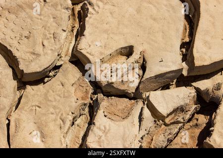 Antilopensporen im getrockneten, zerrissenen Ton, der sich in der Oase Sossusvlei in der Namib-Wüste in Namibia befindet. Stockfoto