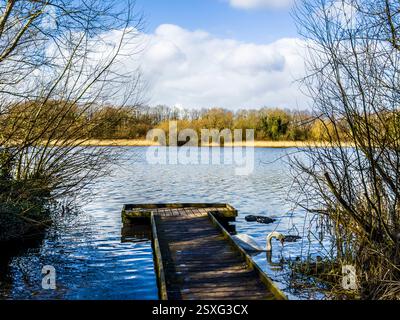 Ein kalter, sonniger Wintermorgen auf Coate Water in Swindon. Stockfoto