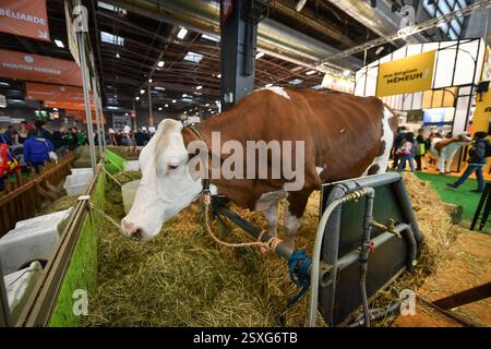Paris, Frankreich. Februar 2025. Besucher kommen am 24. Februar 2025 zur Internationalen Landwirtschaftsmesse in Paris. Foto: Firas Abdullah/ABACAPRESS. COM Credit: Abaca Press/Alamy Live News Stockfoto