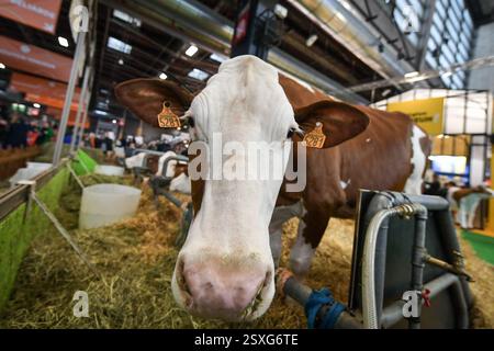Paris, Frankreich. Februar 2025. Besucher kommen am 24. Februar 2025 zur Internationalen Landwirtschaftsmesse in Paris. Foto: Firas Abdullah/ABACAPRESS. COM Credit: Abaca Press/Alamy Live News Stockfoto