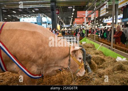 Paris, Frankreich. Februar 2025. Besucher kommen am 24. Februar 2025 zur Internationalen Landwirtschaftsmesse in Paris. Foto: Firas Abdullah/ABACAPRESS. COM Credit: Abaca Press/Alamy Live News Stockfoto