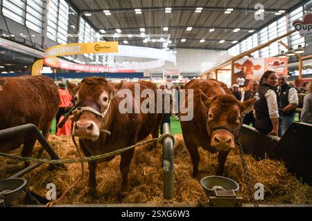 Paris, Frankreich. Februar 2025. Besucher kommen am 24. Februar 2025 zur Internationalen Landwirtschaftsmesse in Paris. Foto: Firas Abdullah/ABACAPRESS. COM Credit: Abaca Press/Alamy Live News Stockfoto