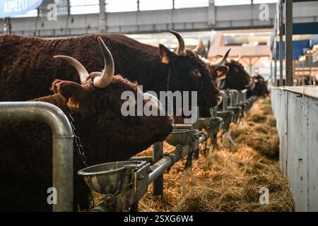 Paris, Frankreich. Februar 2025. Besucher kommen am 24. Februar 2025 zur Internationalen Landwirtschaftsmesse in Paris. Foto: Firas Abdullah/ABACAPRESS. COM Credit: Abaca Press/Alamy Live News Stockfoto