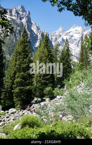 Ruhige Aussicht auf Reiter, die einen zerklüfteten, üppigen Wald umgeben von zerklüfteten Berggipfeln in den Grand Tetons in Wyoming, USA, erkunden Stockfoto