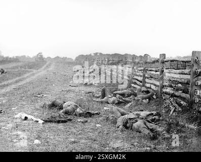 Konföderierte tot an einem Zaun an der Hagerstown Road. Foto von toten Soldaten nach der Schlacht von Antietam, Sharpsburg, Maryland, USA von Alexander Gardner, 1862 Stockfoto