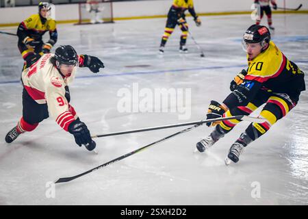 Billingham, National Ice Hockey League (N) Moralee Cup Finale 2ng Leg, Billingham Stars vs Blackburn Hawks (Foto: Scott Llewellyn | SLSportsphotos) Stockfoto
