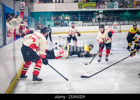 Billingham, National Ice Hockey League (N) Moralee Cup Finale 2ng Leg, Billingham Stars vs Blackburn Hawks (Foto: Scott Llewellyn | SLSportsphotos) Stockfoto