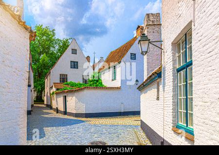 Beguinage Courtrai von Saint-Elisabeth, Begijnhof van Kortrijk mit weißen Häusern auf der Kopfsteinpflasterstraße im historischen Zentrum von Kortrijk, UNESCO-Welt Stockfoto