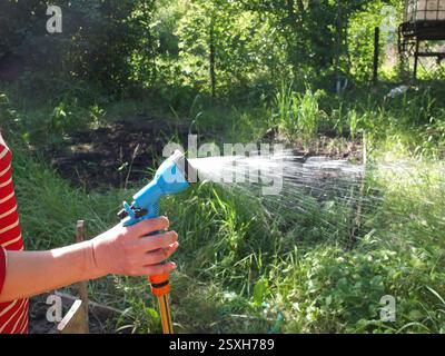 Gardner Wasserpflanzen im Hinterhof in Hochbeeten an einem heißen Sommertag. Stockfoto