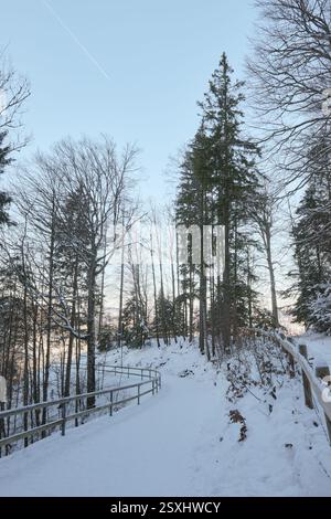 Dieses atemberaubende Bild fängt das Wesen eines ruhigen schwedischen Wintermorgens in einer üppigen Waldlandschaft ein. Hoch aufragende Fichtenbäume säumen die Seiten eines GE Stockfoto