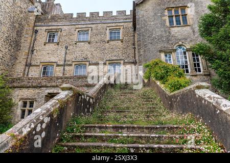 Daisy tritt am Sizergh Castle in Helsington in der englischen Grafschaft Cumbria ein. Stockfoto
