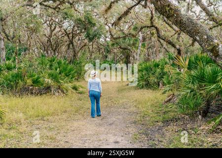 Eine Frau wandert im Jelks Nature Preserve in der Nähe von Venice, Florida Stockfoto